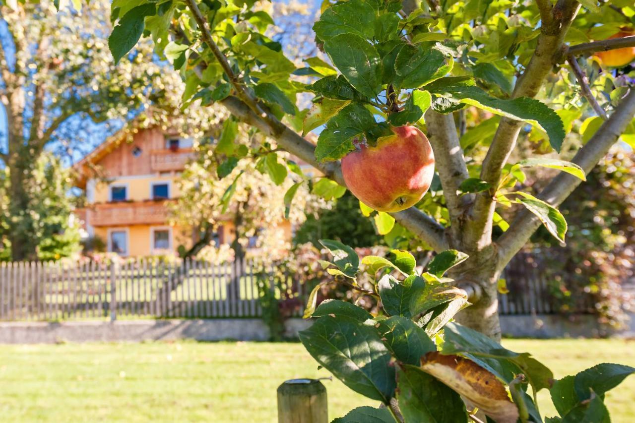 Girlinggut Schlafen Starten Salzburg Elixhausen Buitenkant foto
